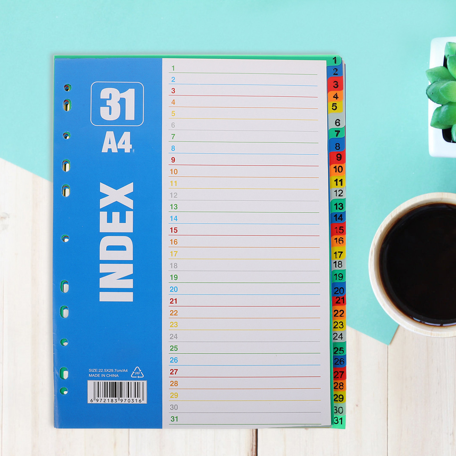 1Set Dividers A4 11-Hole Tabs  - Tab Divider A4 评论和价格
