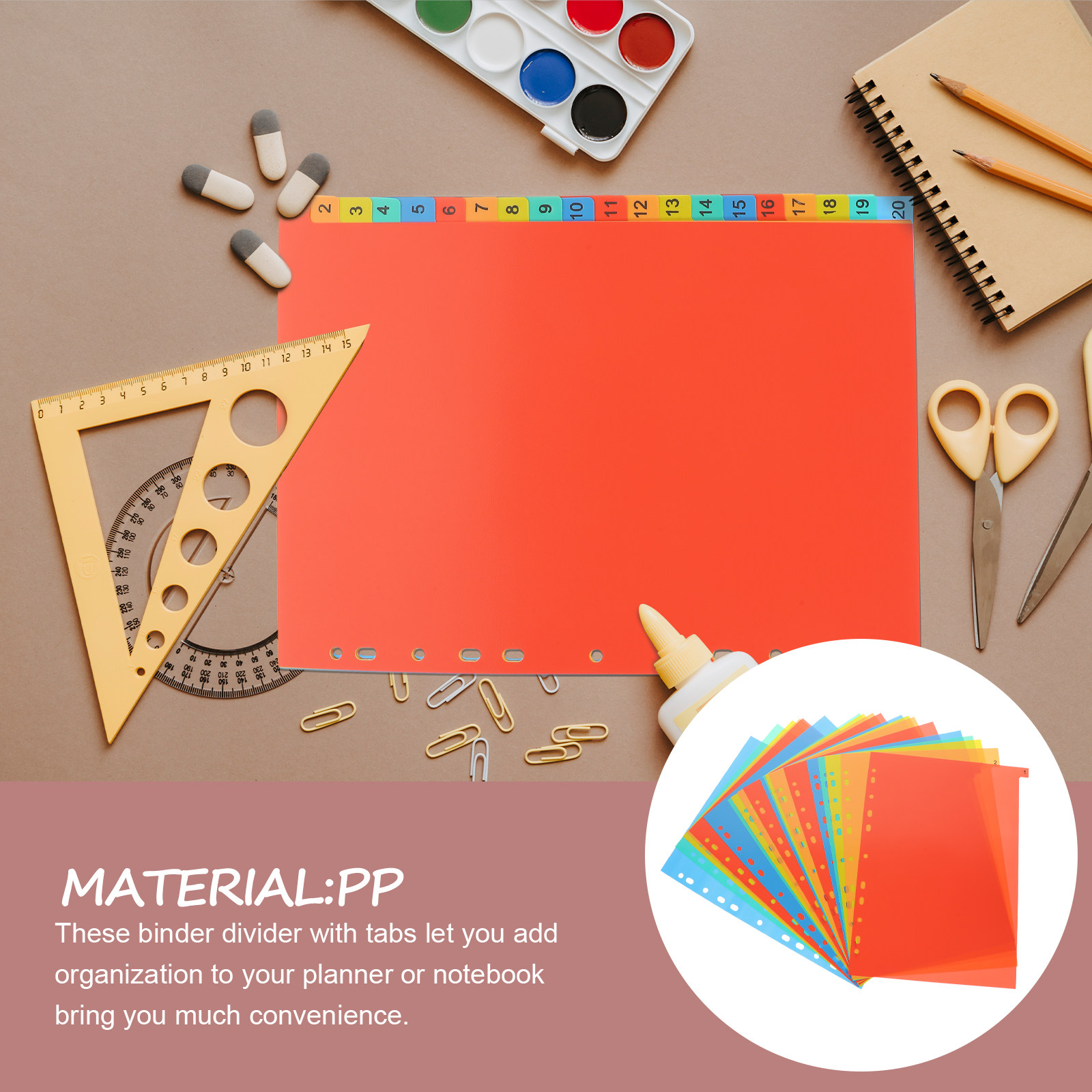 20Sheets A4 Plastic Binder Div - Tab Divider A4 评论和价格
