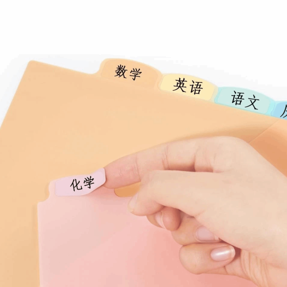 8 pcs A4 Pastel Binder Divider - Tab Divider A4 评论和价格